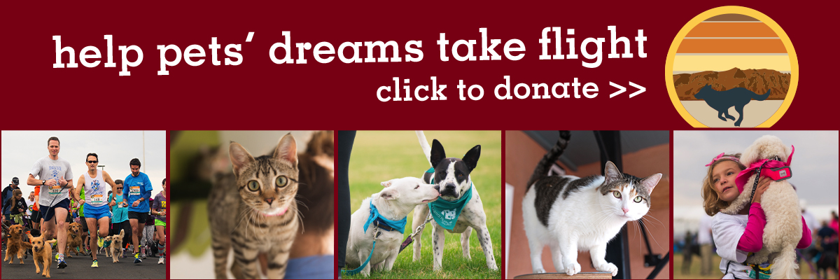 Help Pets’ Dreams Take Flight