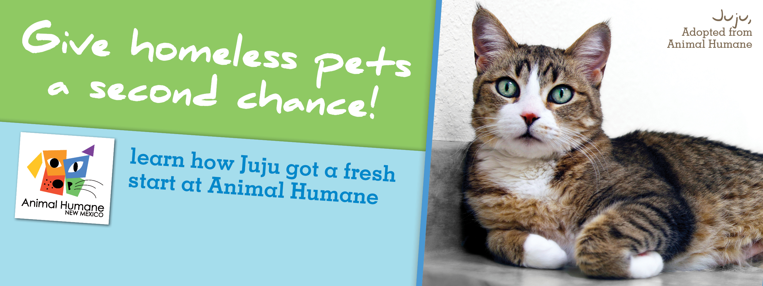 Give homeless pets a second chance!