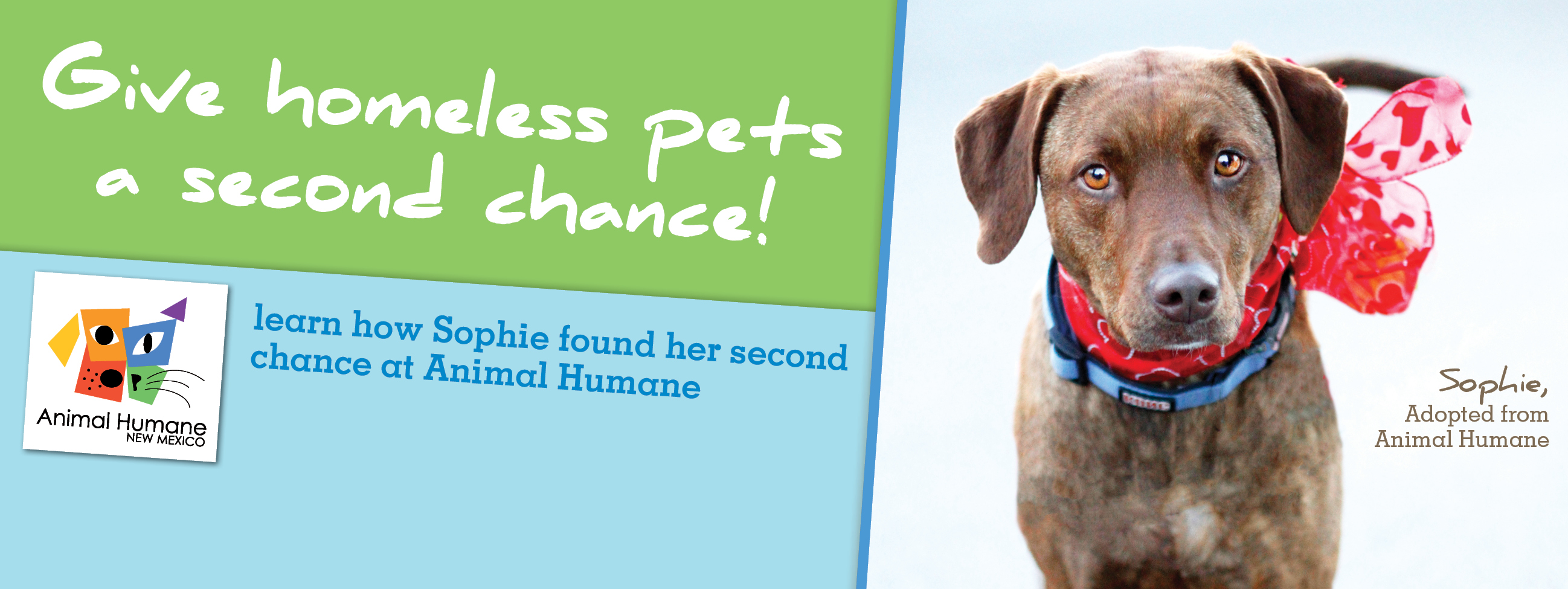 Give homeless pets a second chance!