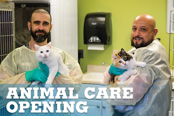 Animal_Care_Job_opening_Animal_Humane_New_Mexico