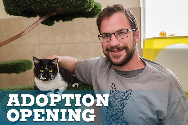 Adoption Opening Animal Humane New Mexico