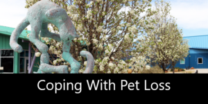 Coping_With_Pet_Loss_Resource_page_button_graphic_Animal_Humane_New_Mexico