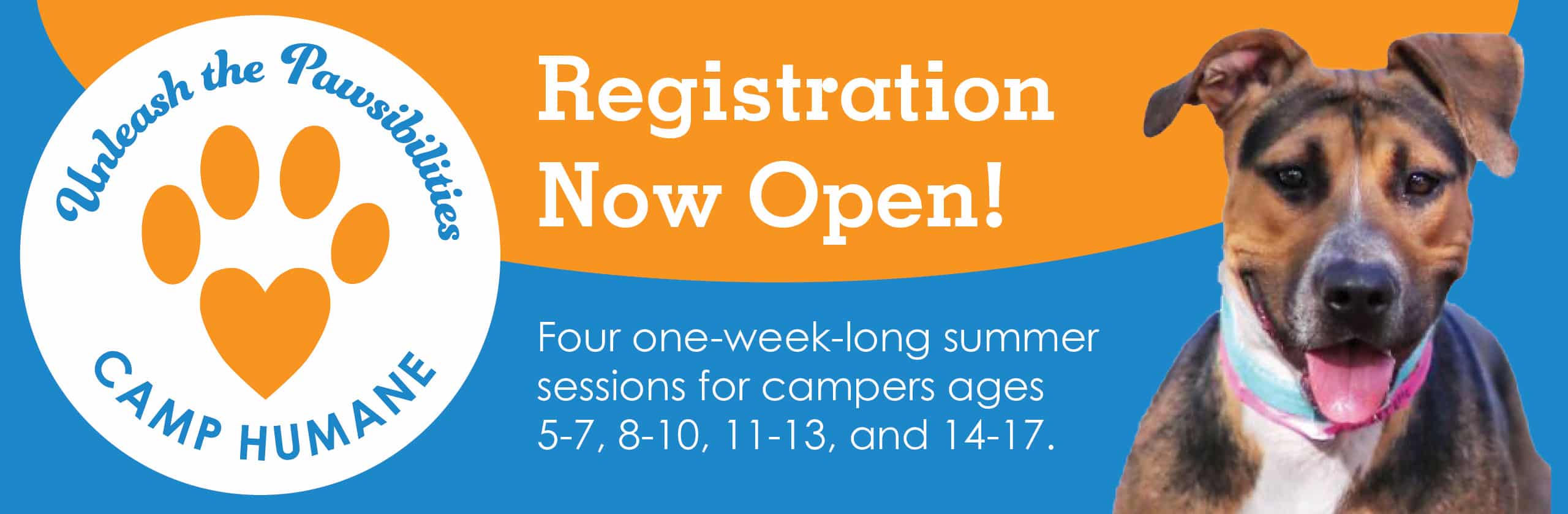 Registration is open for Camp Humane