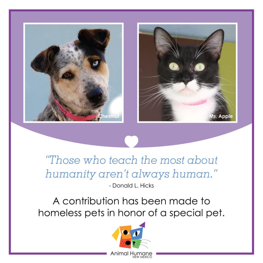 In honor of a pet