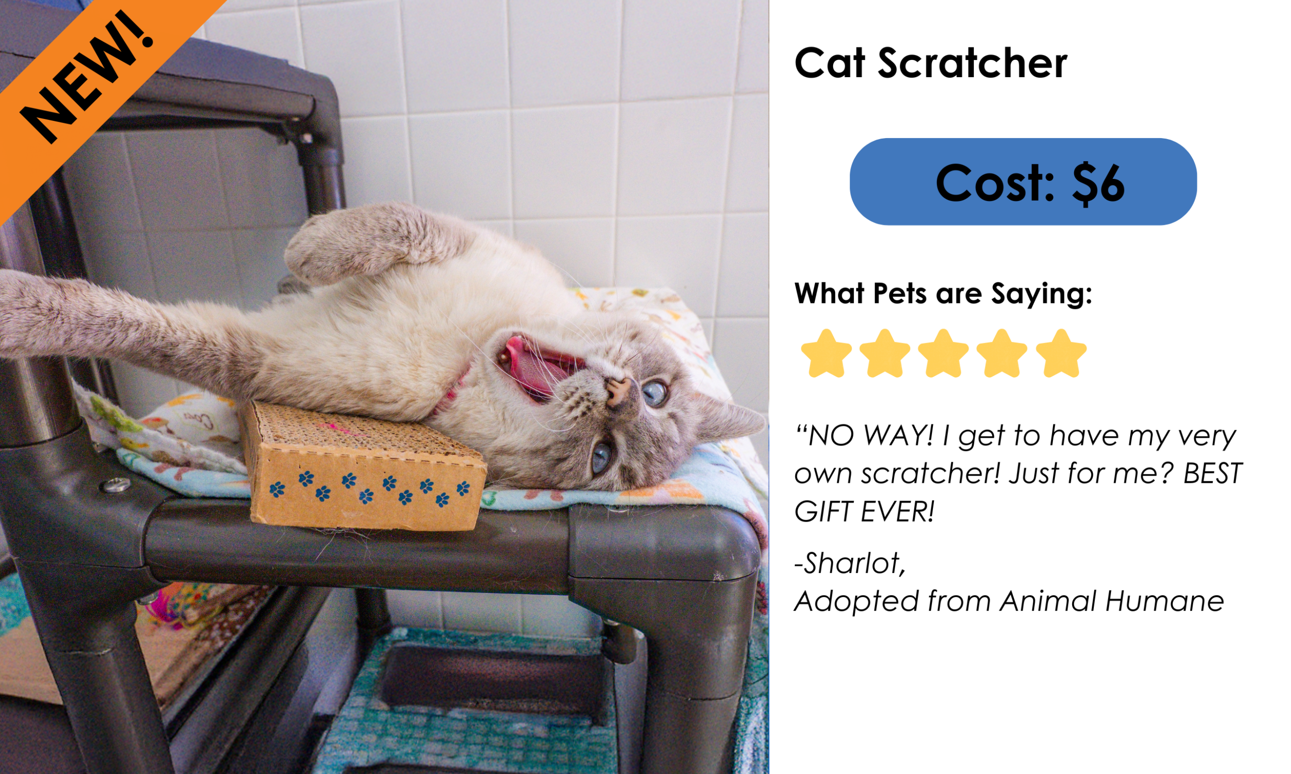 Cat Scratcher