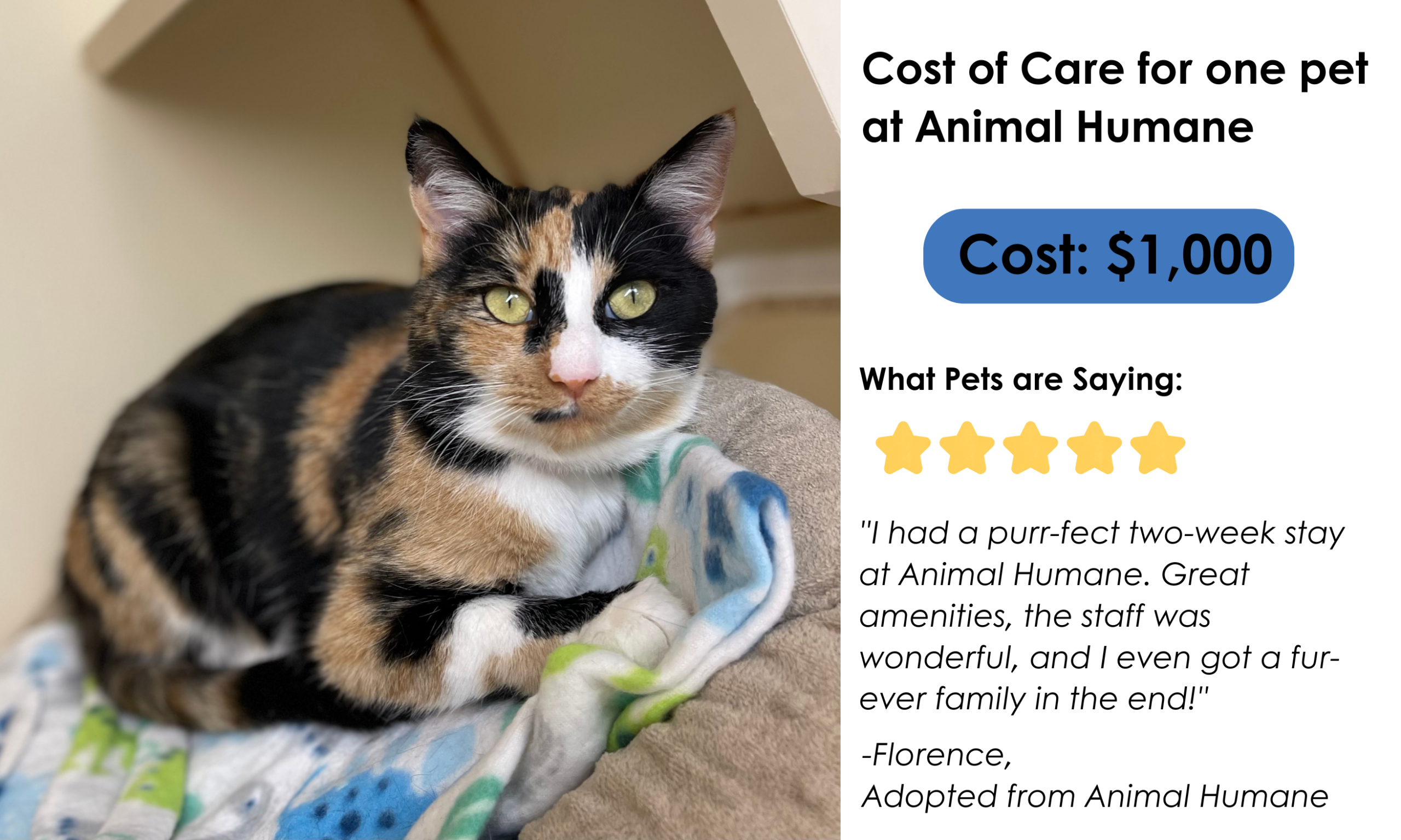 Cost of care for one pet at Animal Humane