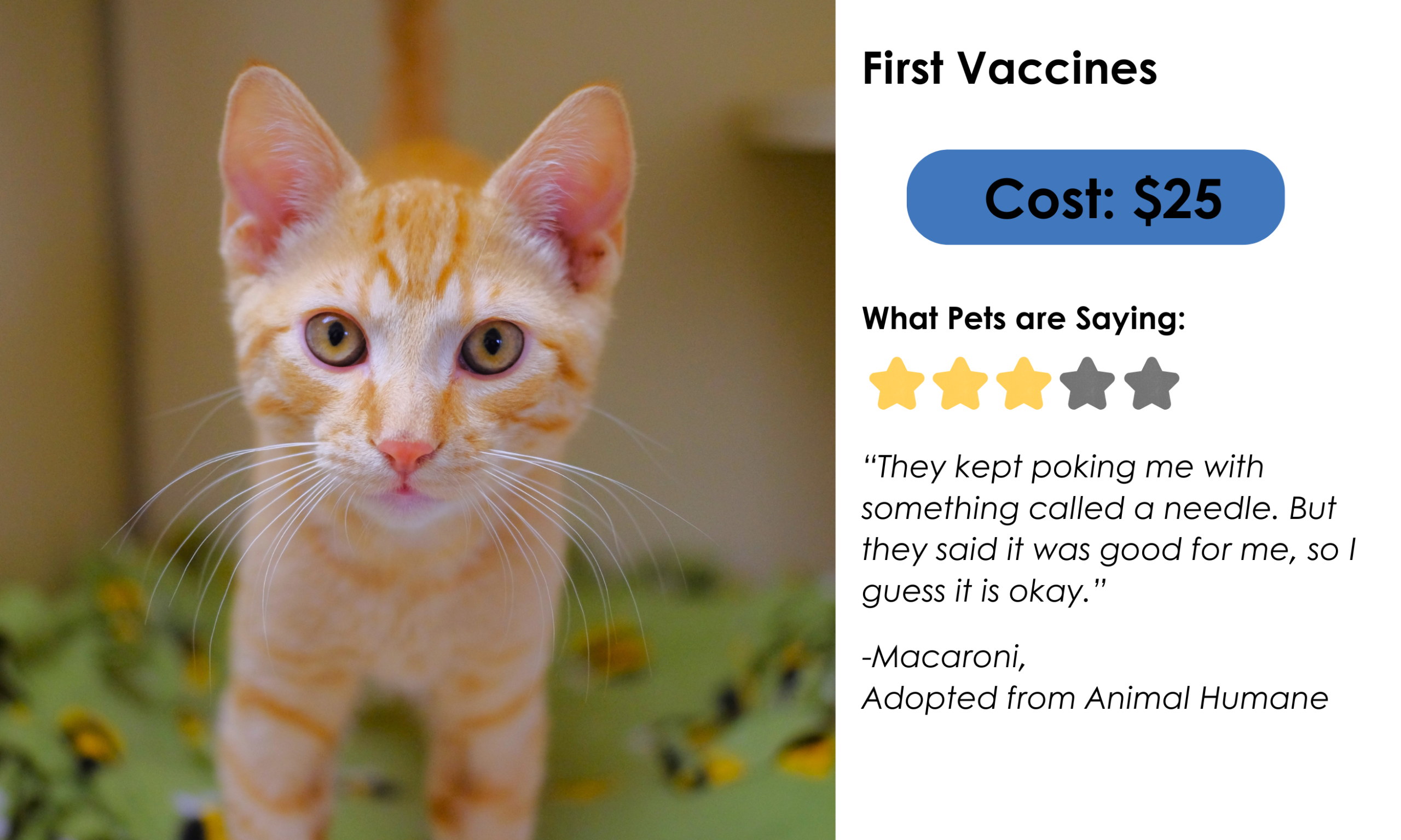 First vaccines