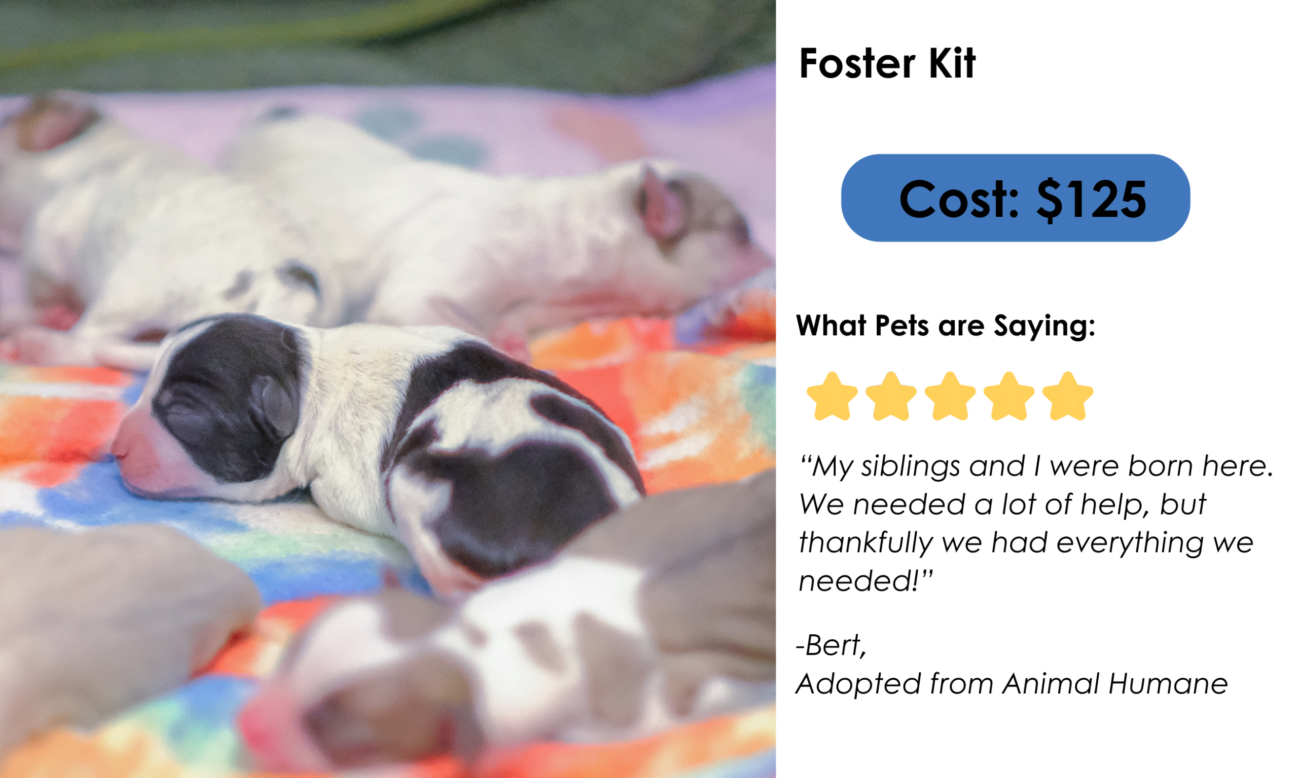 Foster kit