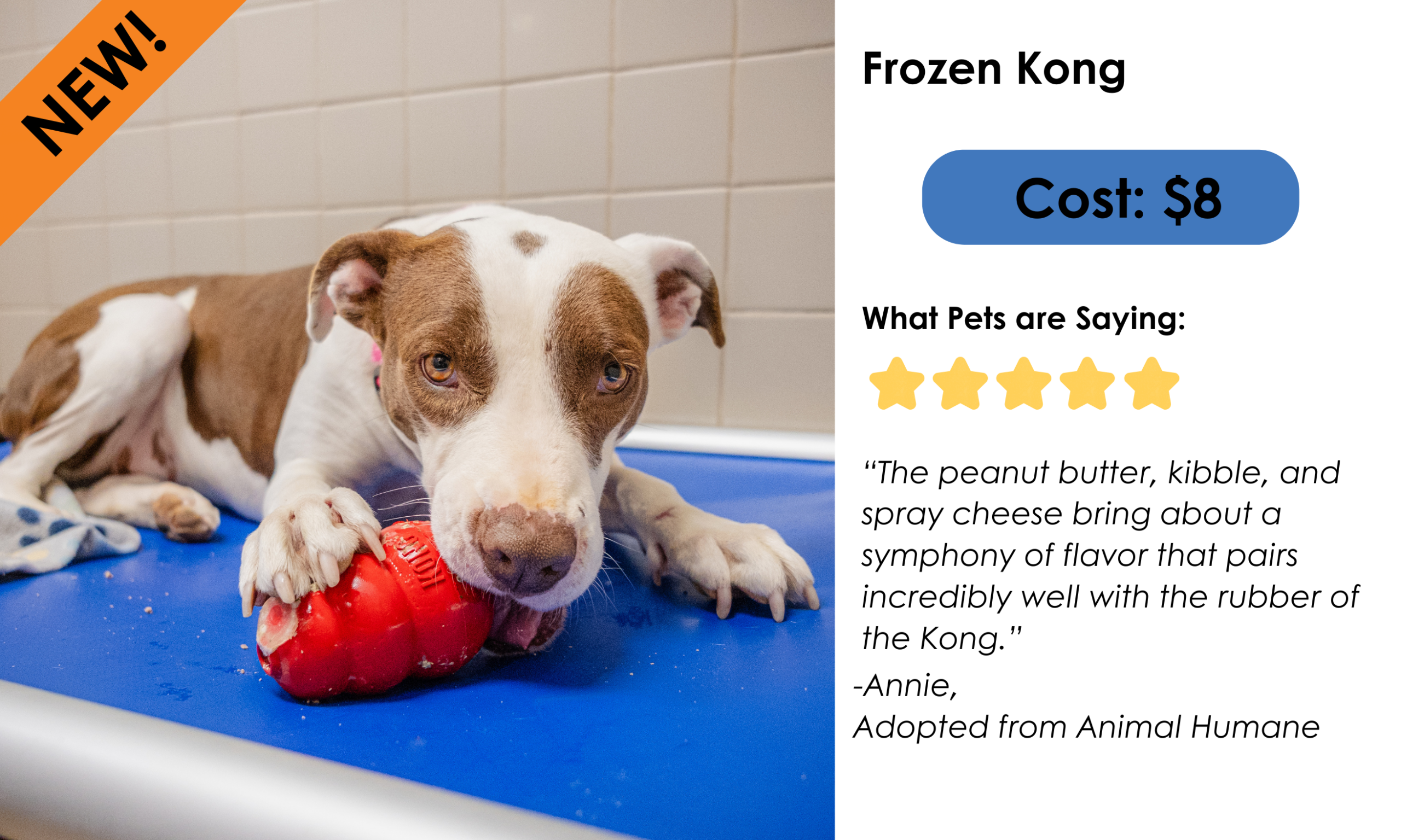 Frozen Kong