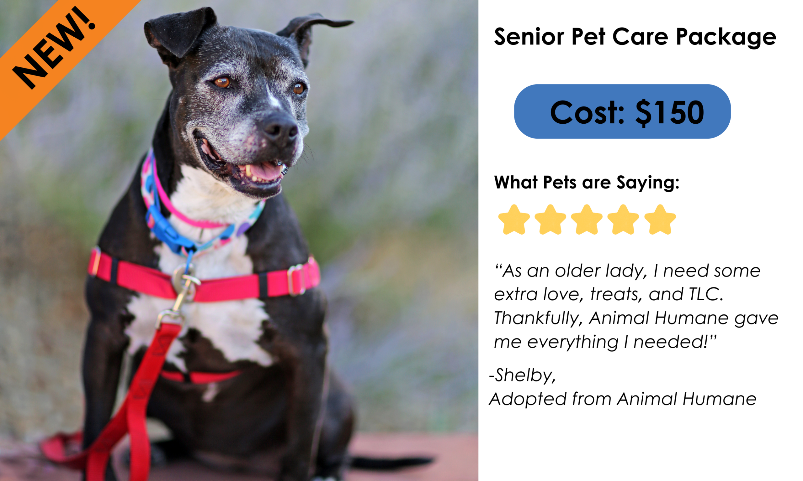 Senior pet care package