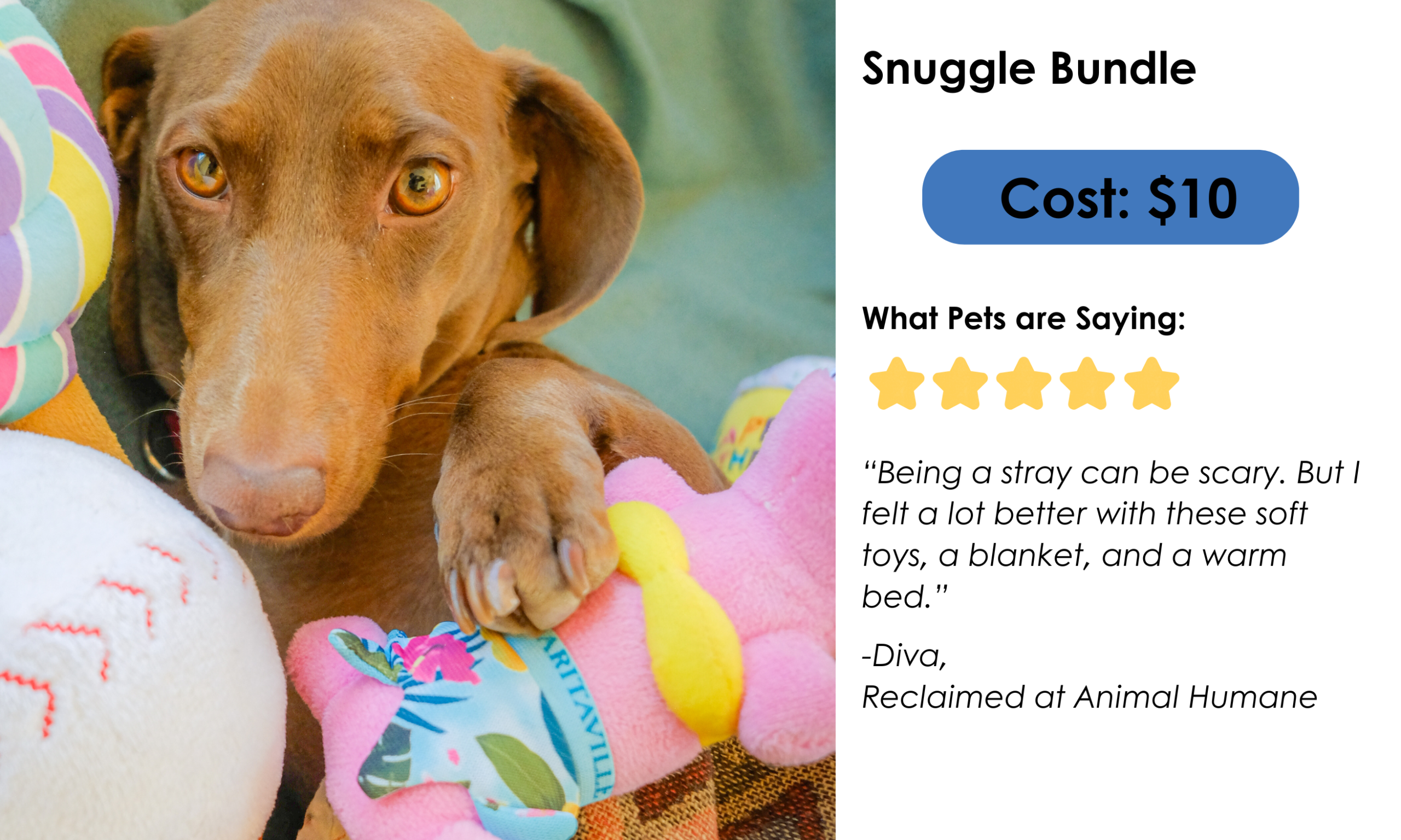 Snuggle Bundle