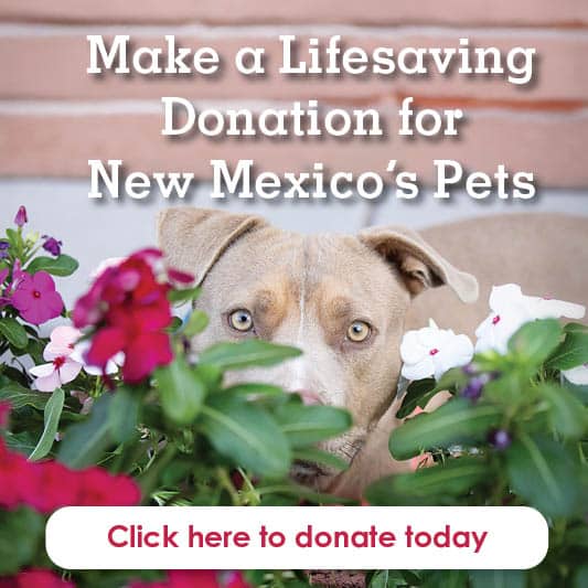 Donate mobile2