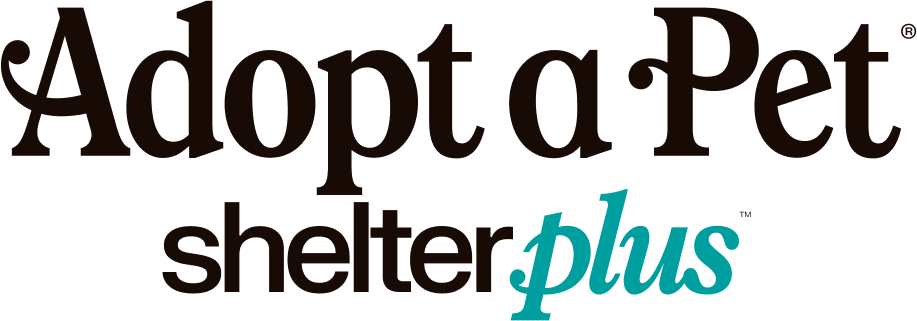 Aap shelter plus logo tm