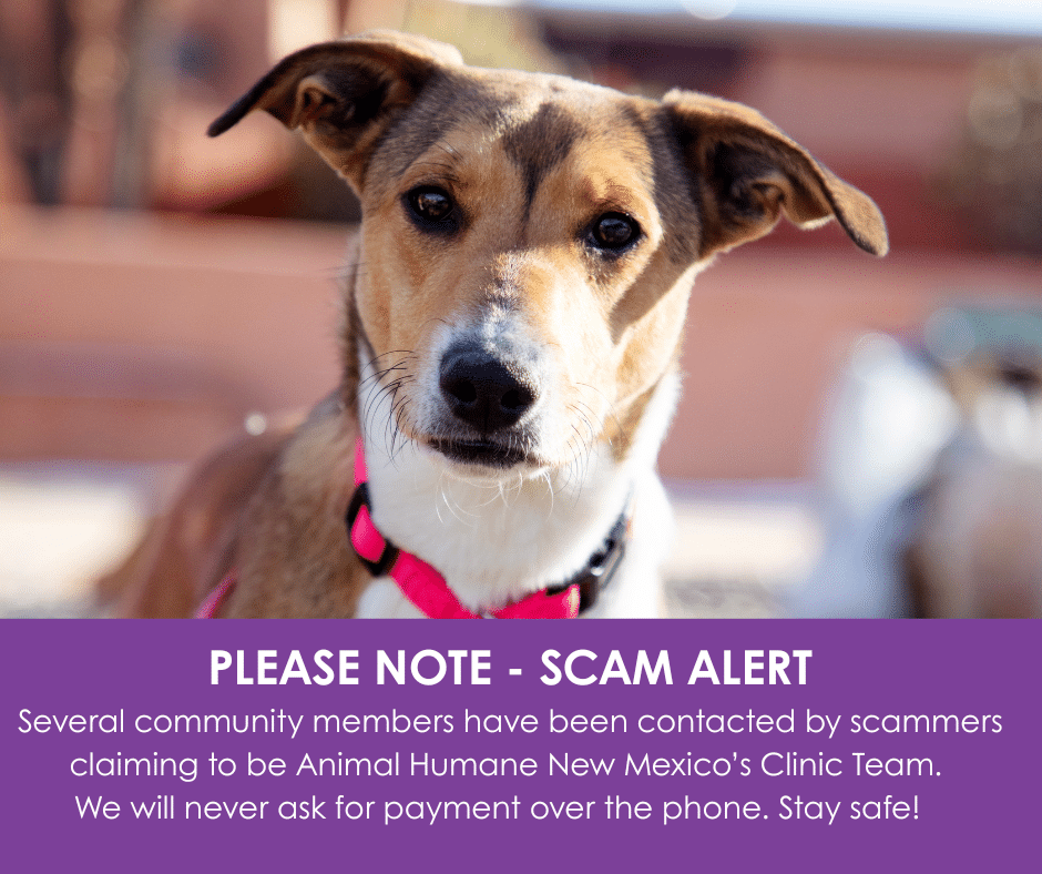 Scam alert