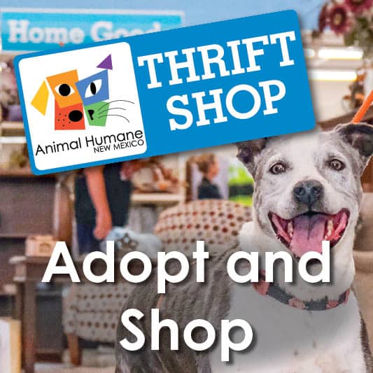 Thrift mobile