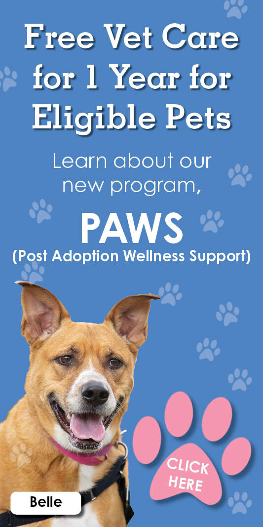 Large PAWS mobile2