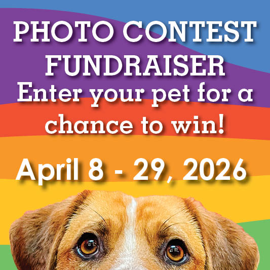 Photocontest mobile